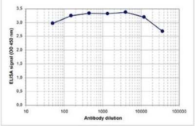 ELISA: Histone H3 [Trimethyl Lys9, p Ser10] Antibody [NBP2-59169] - To determine the titer, an ELISA was performed using a serial dilution of the antibody directed against human H3K9me3S10p . The antigen used was a peptide containing the histone modification of interest. By plotting the absorbance against the antibody dilution, the titer of the antibody was estimated to be 1:87,000.
